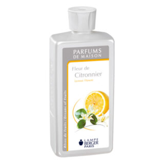 fleur-de-citronnier-lemon-flower-flor-del-limonero